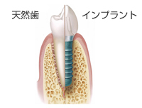 口腔外科