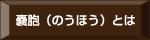 嚢胞（のうほう）とは