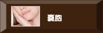 嚢胞